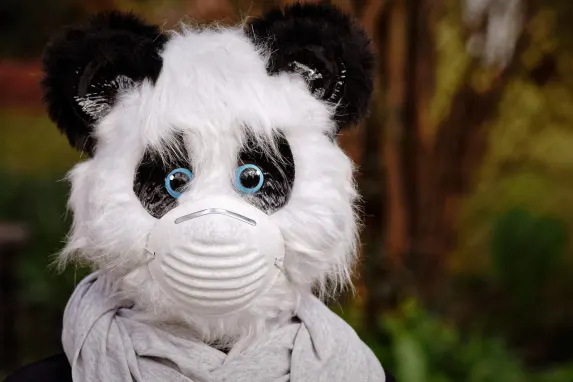 Vegadream Kasyno Wsparcie